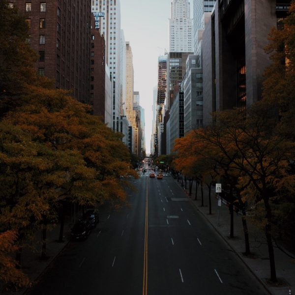 photo-1541997957-62717e8a1029